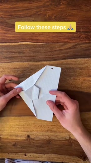 Tutorial for the BEST Paperplane 😍