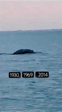 Alaska ‘Plesiosaurus’ Kodiak sea monster Cryptid + more #cryptids #seamonsters