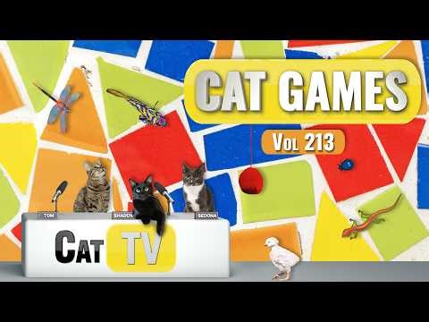 CAT Games | Ultimate Cat TV Compilation Vol 213 | 8 HOURS 🐝🐞🦋🦎🦜🐜🐭🧵