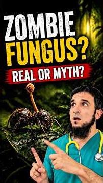 Zombie Fungus: Real or Myth? The Truth About Ophiocordyceps #fungus #zombiefungus #pandemic