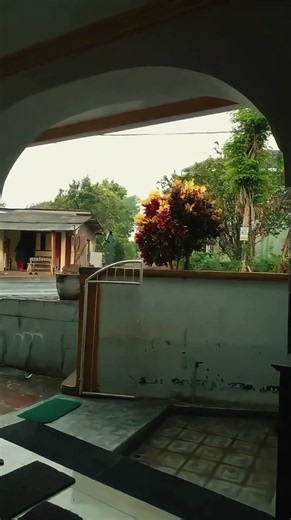 A gentle rain by the roadside #asmr #asmrsounds