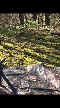 🎯 Air Gun Target Practice! #AirGun #TargetPractice #ShootingSkills #OutdoorFun
