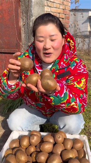 Amazing delicious kiwi fruit harvest from Farm by Rural Farmer Fresh kiwi fruit 🥝🥝 #fruit #harvest