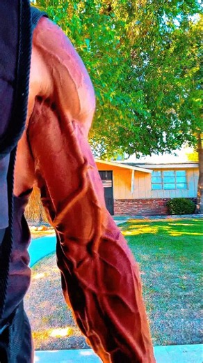 INSANE Arm Veins 💪🔥 | Unreal Vascularity That Looks Photoshopped!