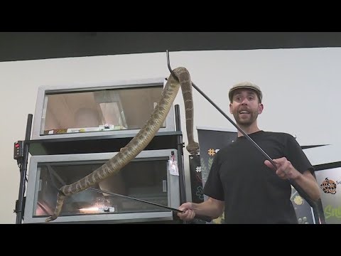 Sanke expert talks safety as fatal bites are up in California
