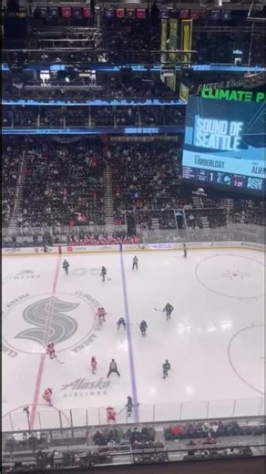 Limberlost - Alien at the Seattle Kraken Game - Climate Pledge Arena