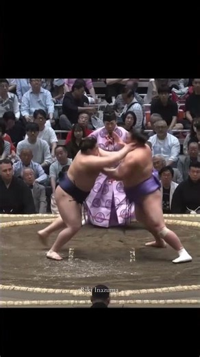 Japanese Sumo wrestling