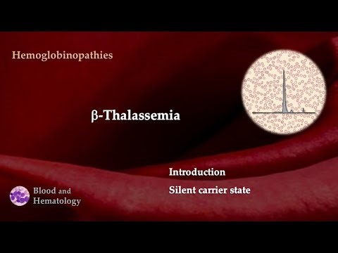 Beta-Thalassemia