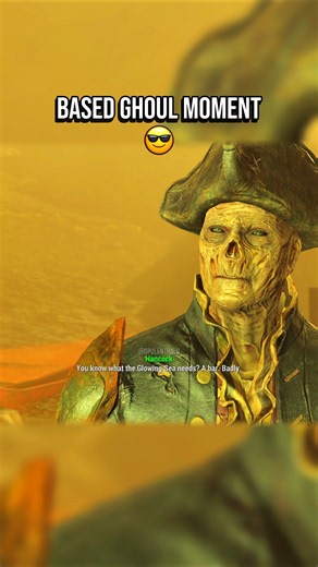 Fallout 4 Based Companion😎