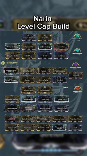 Best Narin Build in Warframe