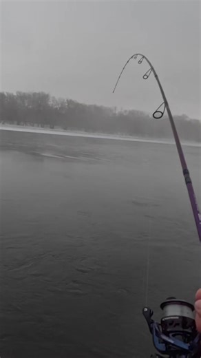 Fishing the Foggy River with Crawfish Lures
