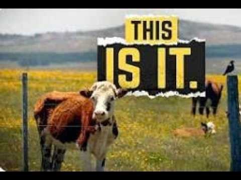 Why Do You Feel Poorer If Inflation Is “Low”? | The CPI Lie.