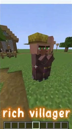 RICHEST VILLAGER #minecraft #minecraftgameplay #minecraftgaming #blocks#rich #ironmaster