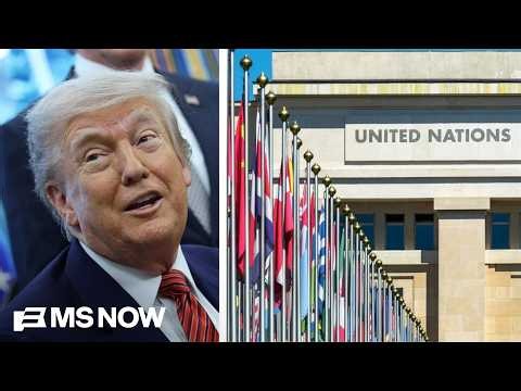 ‘Capturing the courts’: CHILLING new UN Report shows U.S. ‘more vulnerable’ to authoritarianism