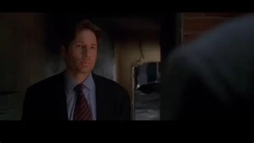 In The X-Files 1998', Hantavirus