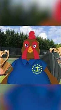 The Real Birds of Rhode Island🦃 | 50 Birds, 50 States | @natgeokids