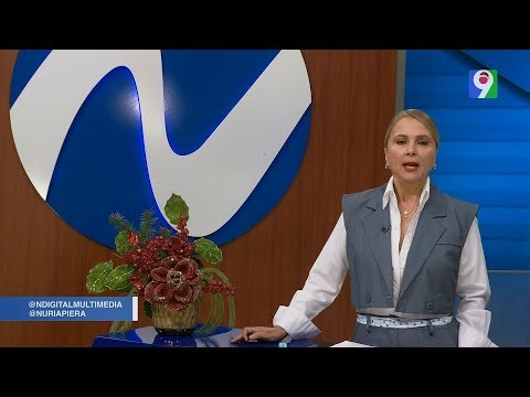 Irregularidades en las Licitaciones Públicas | Nuria Piera