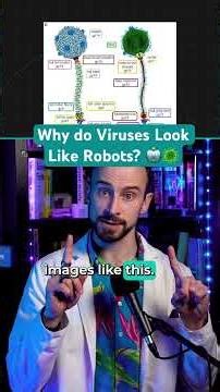 Why do Viruses Look Like Robots? 🤖🦠