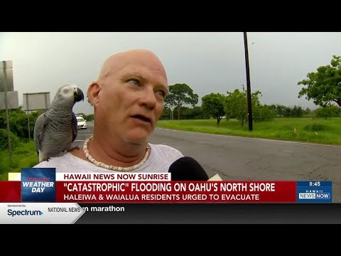 Wahiawa resident shares experience dodging flash floods