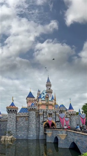 So cold last night it snowed at Disneyland #disney #disneyland #fyp #snow #cold