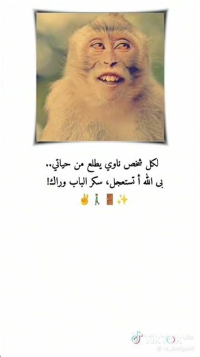 هههه