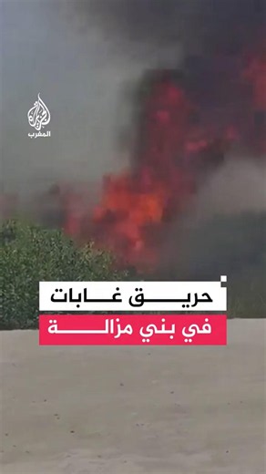 حرائق غابات بمدينة الفنيدق بالمغرب
