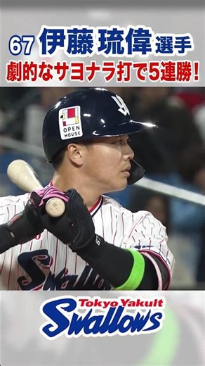 伊藤琉偉選手 劇的なサヨナラ打で5連勝！ #swallows #伊藤琉偉 #shorts