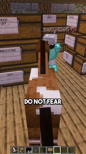 TURNING MYSELF INTO A HORSE