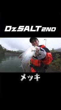 ライトゲームが楽しすぎる！『#DzSALT2ND 54』#釣りビジョンVOD で配信中！ #shorts
