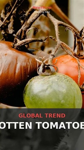 Rotten Tomatoes Trends: Why the Review Site Is in the Spotlight | October 2026 | NewsDrop