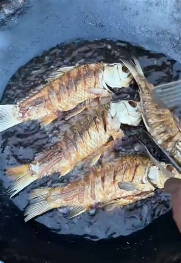 Discover Authentic Ethiopian Fast Food in Addis Ababa