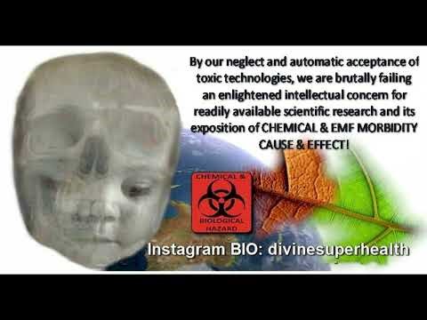 CHEMICAL & EMF MORBIDITY