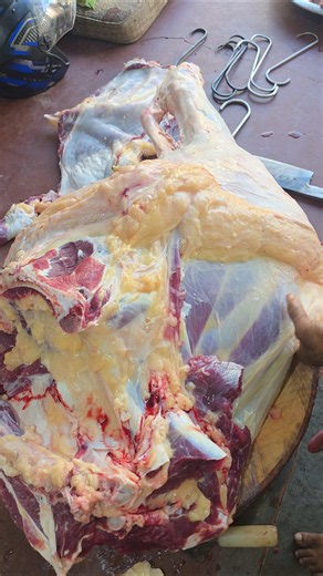 Beef Cutting Skills | Watch a Butcher Shop Pro Break Down Fresh Beef ##trending #shorts