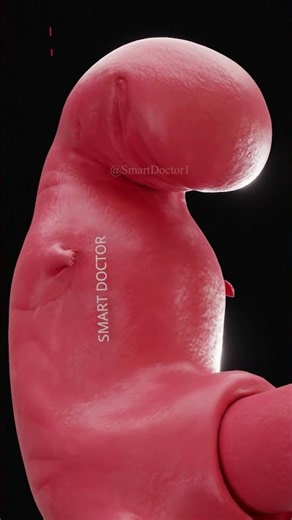 This Is How We Begin 🧬👶🏻