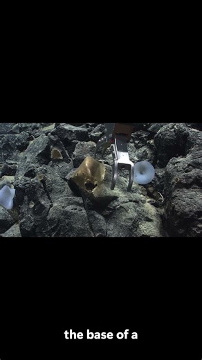 Mystery SOLVED: The Alaska "Golden Orb" Revealed! 😱 #science#shorts