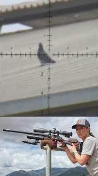 AirTac Hunting | Sub for more