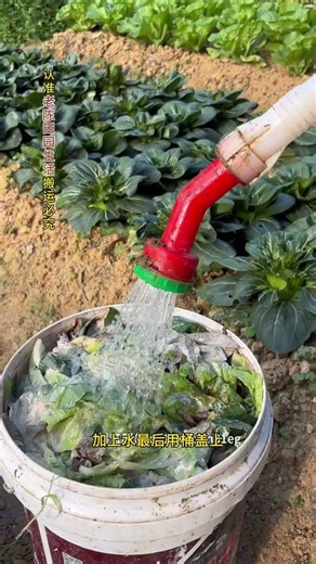 DIY Compost: Save Cash & Go Green