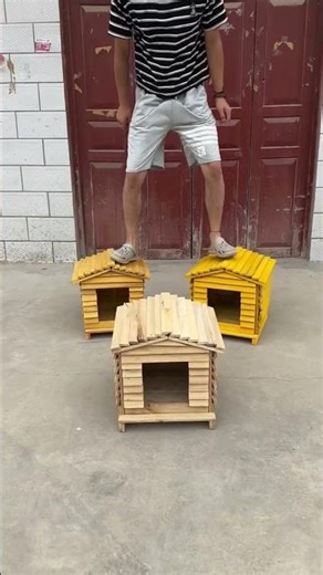 🏠🐕 Multi-Purpose Wooden Pet Villa 😻🐓 | Chicken Coop + Dog House + Cat Nest ALL in ONE 🔥✨ #dog #cat