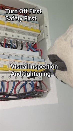 Visual inspection and bolt tightening og electrical panel board mcb panel #electrician #control #power #technician #switch #wiring #engineering #fblifestyle #DIY #electrical | Electricians Guide