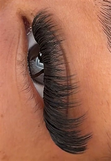 Wispy Cat Eye Lash Cluster Set – Carnatio Luxe 150D Lash Map