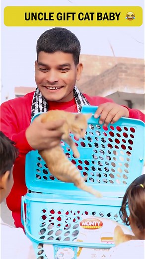 Uncle gave two kittens😍 #ytshorts #shorts