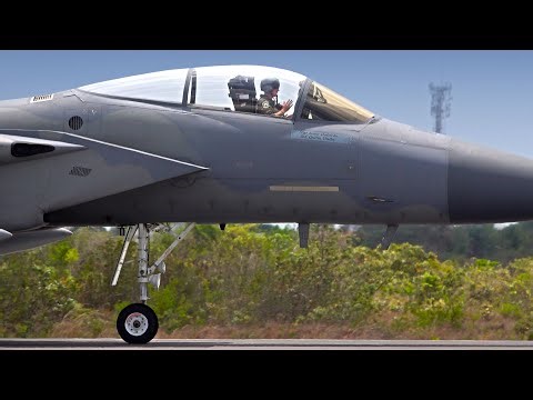 EAGLE INVASION! 🇺🇸 4 USAF F-15 Eagle Fighters Sequential Landing