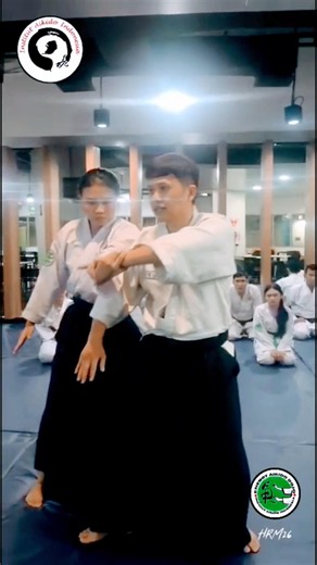 合気道 | Institut Aikido Indonesia | The Energy Dojo