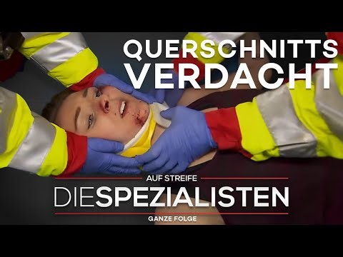 Schlägerei, gelähmte Frau: und plötzlich werden SANITÄTER angegriffen | Die Spezialisten | SAT.1