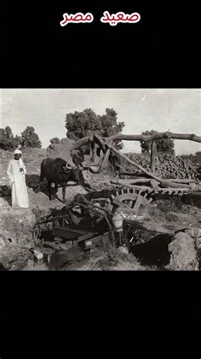 Upper Egypt at the beginning of the twentieth century
