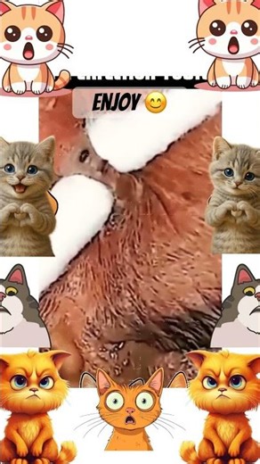 Endless blackhead pops!