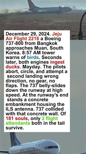 A Boeing 737 Crashed With NO Landing Gear — Jeju Air Flight 2216, 2024