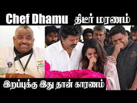 Chef Damu Passed Away💔CM Vijay | Cook With Comali | Venkatesh Bhat | Sivaangi | Celebrity Tribute