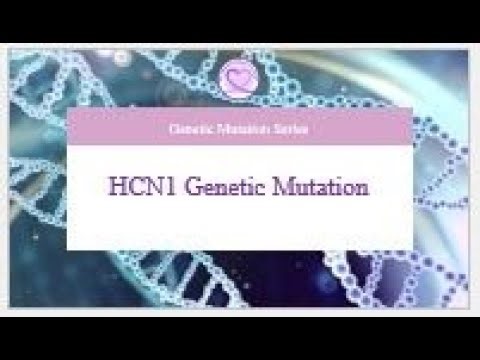 HCN1 Gene and Epilepsy: An Educational Overview