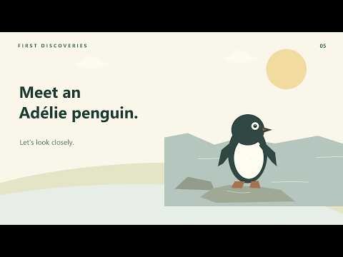 Meet the Adélie Penguin | Flippers & Swimming | Animals for Kids
